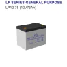 Batería AGM Leoch LP12-75 — 12V / 75Ah / Ciclo Profundo